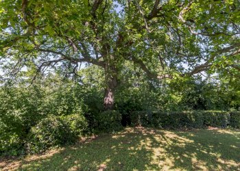 Foto 55 - Villa Via Vallecchio
 
7, Montescudo - Monte Colombo - foto 55