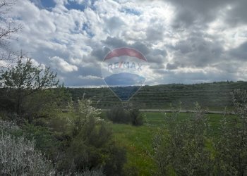 Vista delle montagne - Rustico Contrada Bellocozzo
 
SN, Ragusa - foto 7