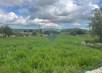 Vista delle montagne - Rustico Contrada Bellocozzo
 
SN, Ragusa - foto 18