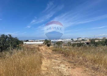 Non correlato - Casa indipendente Contrada Serramenzana
 
16, Santa Croce Camerina - foto 12