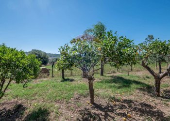 Giardino - Villa CONTRADA SALMATA, Ispica - photo 9
