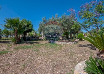 Giardino - Villa CONTRADA SALMATA, Ispica - photo 25