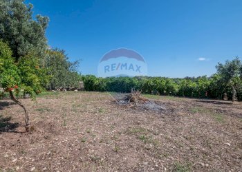 Giardino - Villa CONTRADA SALMATA, Ispica - photo 26