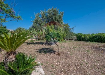 Giardino - Villa CONTRADA SALMATA, Ispica - photo 27