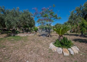 Giardino - Villa CONTRADA SALMATA, Ispica - photo 28