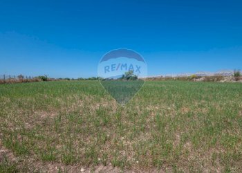 Giardino - Villa CONTRADA SALMATA, Ispica - photo 30