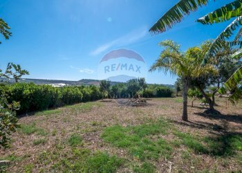 Giardino - Villa CONTRADA SALMATA, Ispica - photo 37