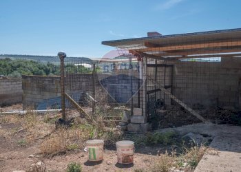 Giardino - Villa CONTRADA SALMATA, Ispica - photo 38