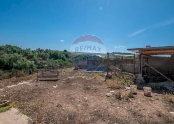 Giardino - Villa CONTRADA SALMATA, Ispica - photo 41