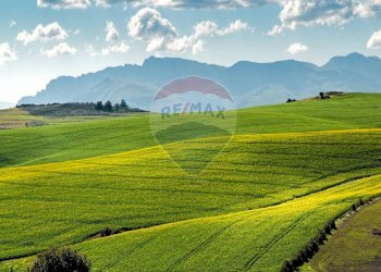 Vista delle montagne - Terreno agricolo Caccamo - foto 3
