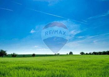 Giardino - Terreno agricolo Caccamo - foto 4