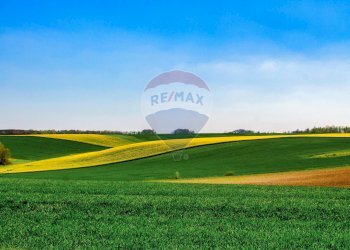 Giardino - Terreno agricolo Caccamo - foto 5