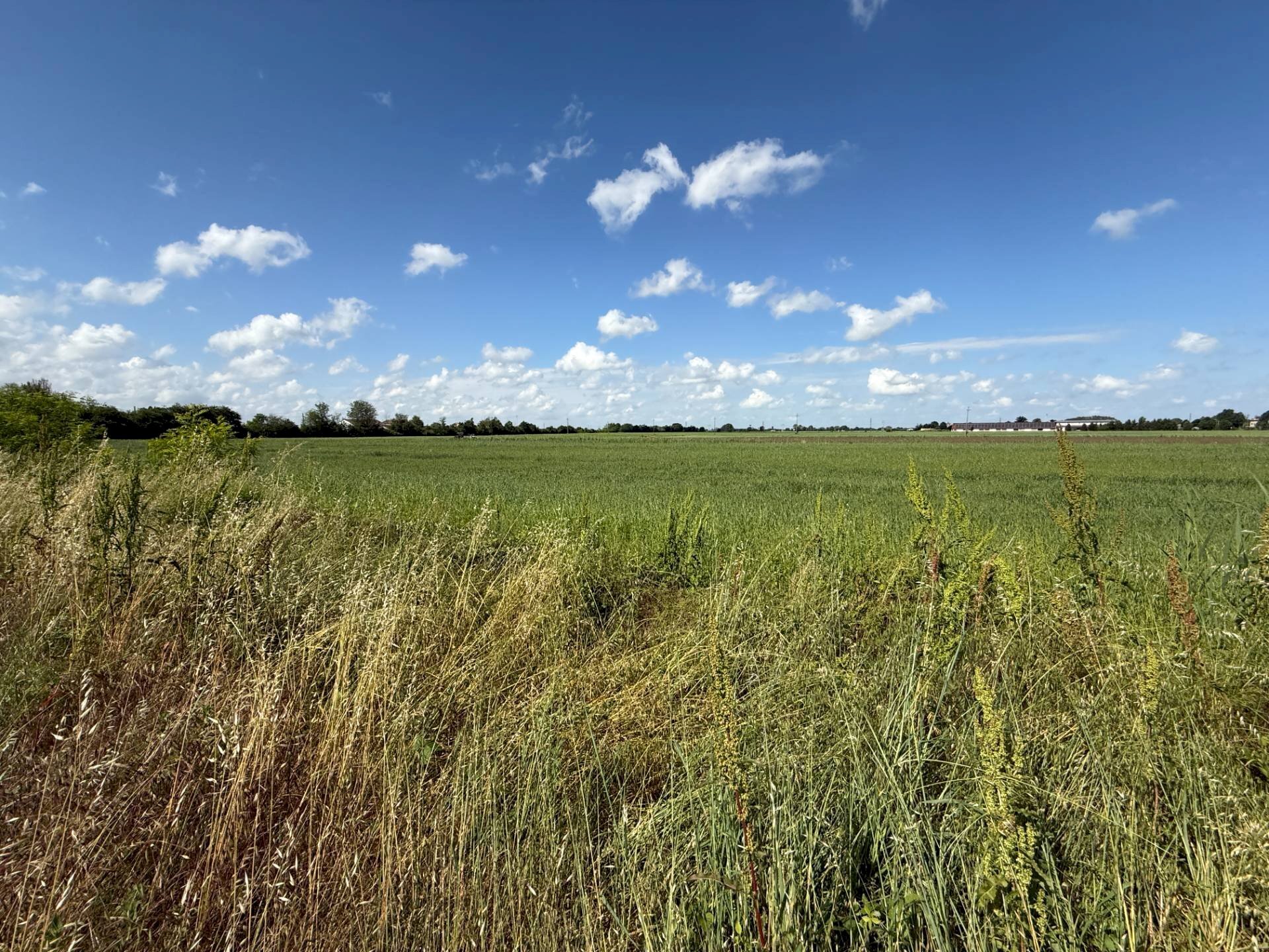 Foto 2 - Building land Magnacavallo - photo 2