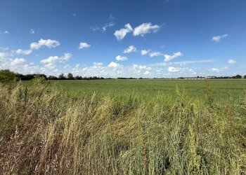 Foto 2 - Terreno edificabile Magnacavallo - foto 2