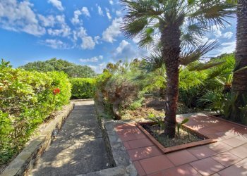 Foto 27 - Appartamento Stintino Poggio Via Cala Sabina, Stintino - foto 27