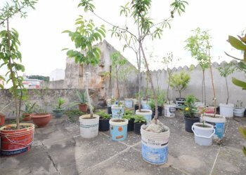 Foto 35 - Casa indipendente VIA FERRACCIU
 
50, Nuoro - foto 35