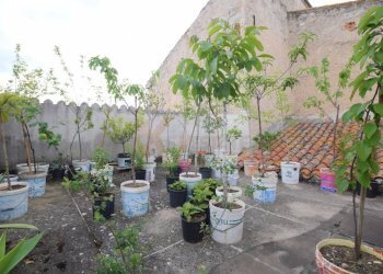 Foto 36 - Casa indipendente VIA FERRACCIU
 
50, Nuoro - foto 36