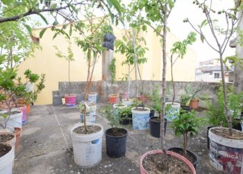 Foto 38 - Casa indipendente VIA FERRACCIU
 
50, Nuoro - foto 38