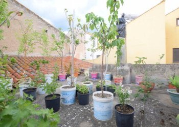 Foto 39 - Casa indipendente VIA FERRACCIU
 
50, Nuoro - foto 39