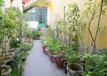 Foto 44 - Casa indipendente VIA FERRACCIU
 
50, Nuoro - foto 44