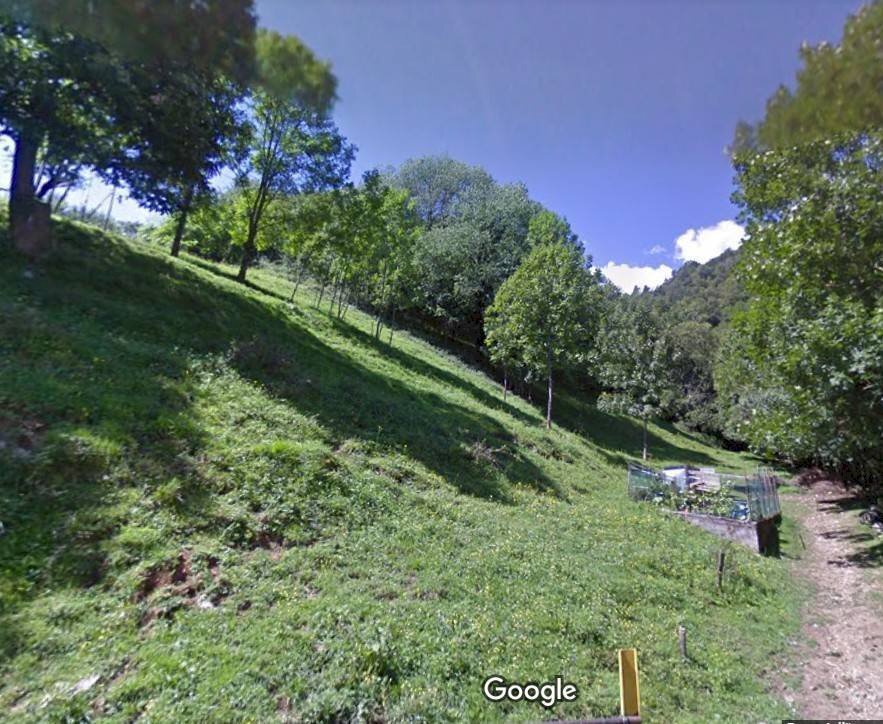 Foto 1 - Terreno agricolo via Giovanni Pascoli, Gazzaniga - foto 1