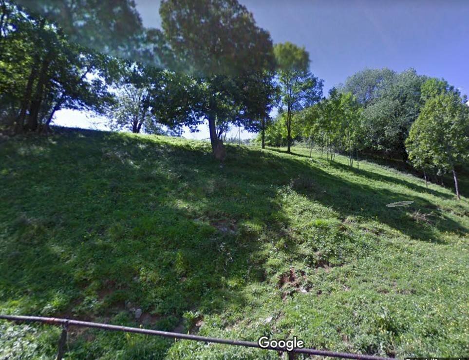 Foto 2 - Terreno agricolo via Giovanni Pascoli, Gazzaniga - foto 2