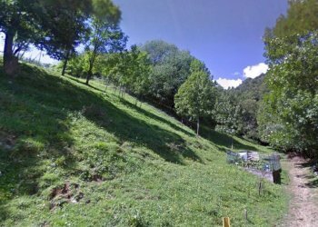 Foto 1 - Terreno agricolo via Giovanni Pascoli, Gazzaniga - foto 1