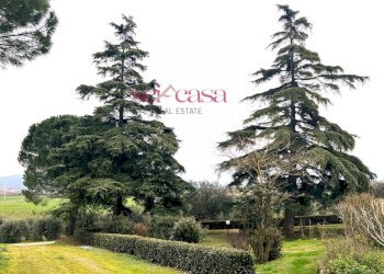 Foto 6 - Rustic Campagnatico - photo 6