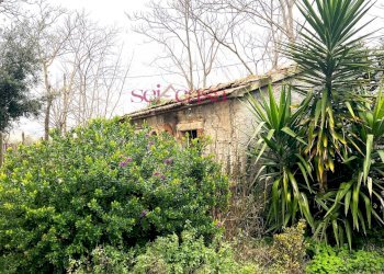 Foto 9 - Rustic Campagnatico - photo 9