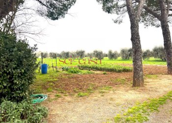 Foto 13 - Rustic Campagnatico - photo 13