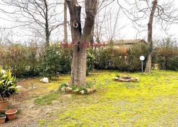 Foto 14 - Rustic Campagnatico - photo 14