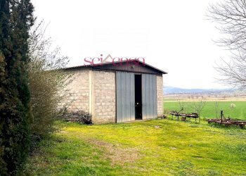 Foto 15 - Rustic Campagnatico - photo 15