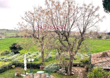 Foto 16 - Rustic Campagnatico - photo 16