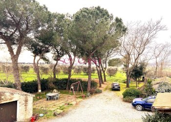 Foto 17 - Rustic Campagnatico - photo 17