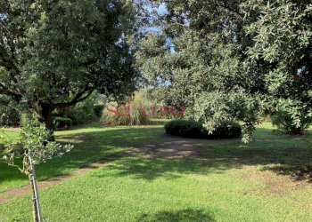 Foto 6 - Villa Grosseto - foto 6