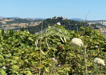 Foto 4 - Villa Via Contrada Cese, Campobasso - foto 4