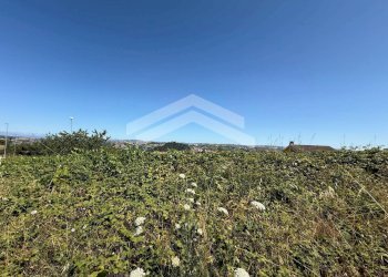 Foto 5 - Villa Via Contrada Cese, Campobasso - foto 5