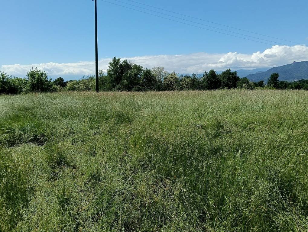 Terreno - Terreno agricolo via Musinè, Piossasco - foto 1