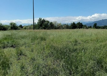 Terreno - Terreno agricolo via Musinè, Piossasco - foto 1