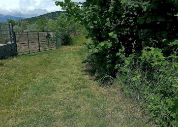 Terreno - Terreno agricolo via Musinè, Piossasco - foto 2