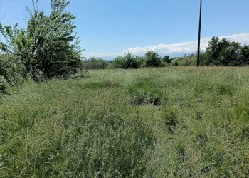 Terreno - Terreno agricolo via Musinè, Piossasco - foto 3