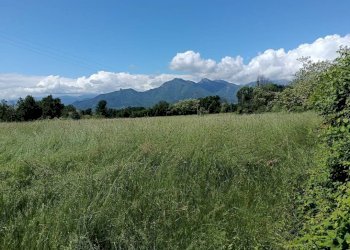 Terreno - Terreno agricolo via Musinè, Piossasco - foto 4