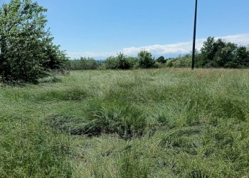 Terreno - Terreno agricolo via Musinè, Piossasco - foto 5