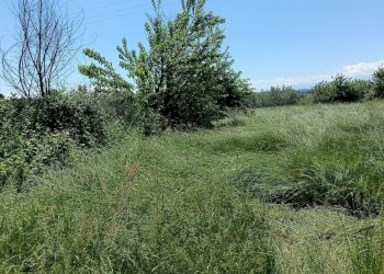 Terreno - Terreno agricolo via Musinè, Piossasco - foto 6