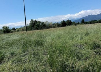 Terreno - Terreno agricolo via Musinè, Piossasco - foto 7