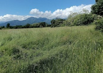 Terreno - Terreno agricolo via Musinè, Piossasco - foto 8