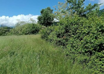 Terreno - Terreno agricolo via Musinè, Piossasco - foto 9