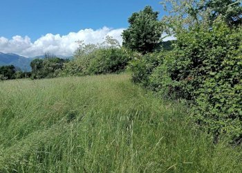 Terreno - Terreno agricolo via Musinè, Piossasco - foto 10