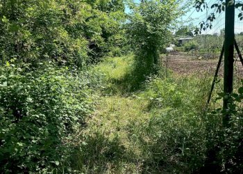 Terreno - Terreno agricolo via Musinè, Piossasco - foto 13