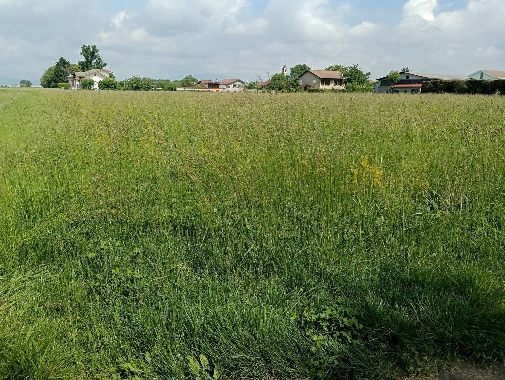 Terreno - Terreno edificabile None - foto 1